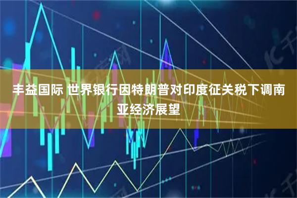 丰益国际 世界银行因特朗普对印度征关税下调南亚经济展望