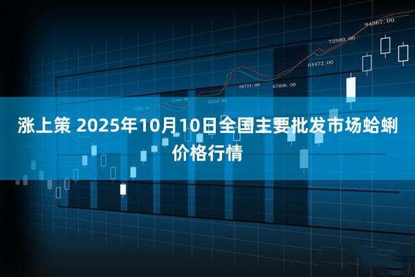 涨上策 2025年10月10日全国主要批发市场蛤蜊价格行情