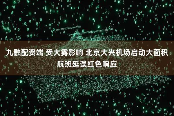九融配资端 受大雾影响 北京大兴机场启动大面积航班延误红色响应